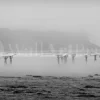 Surfers In The Mist