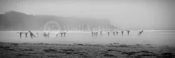 Surfers In The Mist
