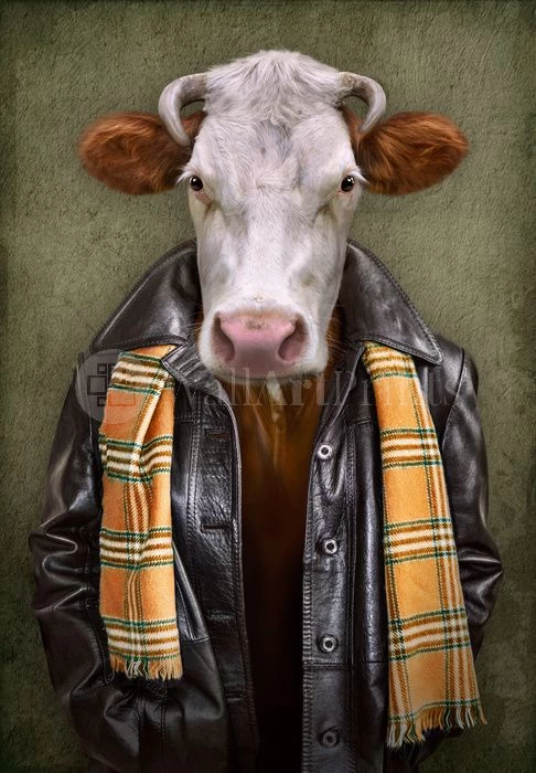 Bull Headed 1 Bull Headed