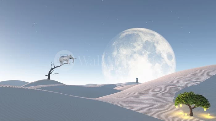 Dunes To The Moon 1 Dunes To The Moon