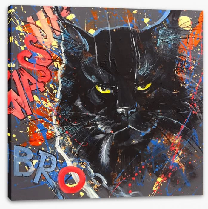 Maine Coon Cool 2 Maine Coon Cool - Image 2