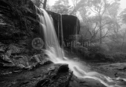 Flowing Through The Fog