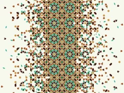 Disintegrating Beauty 1