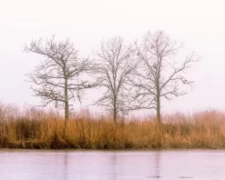 Three In The Morning