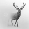 Deer From The Mist