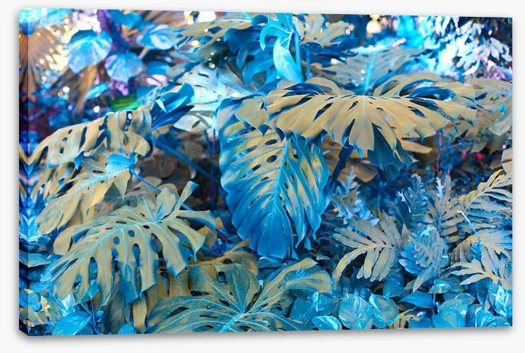 Monstera Blues 2 Monstera Blues - Image 2