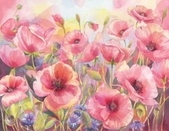 Pink Poppy Sunshine