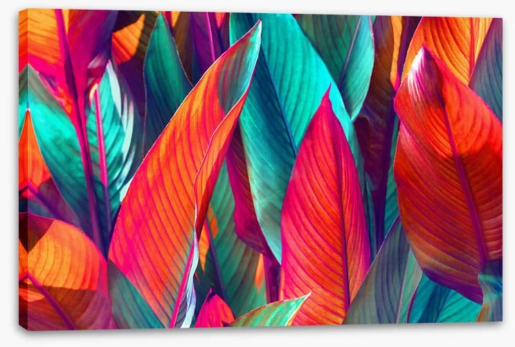 Banana Leaf Sunshine 2 Banana Leaf Sunshine - Image 2