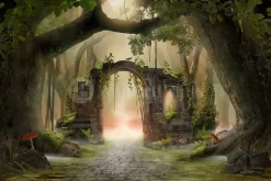The Enchanted Arch