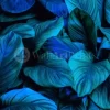 Leafy Blues 2