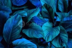 Leafy Blues 2