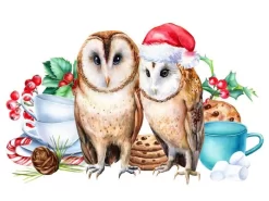 Together For Christmas