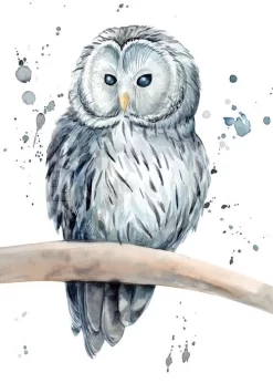 Snowy Owl Splash