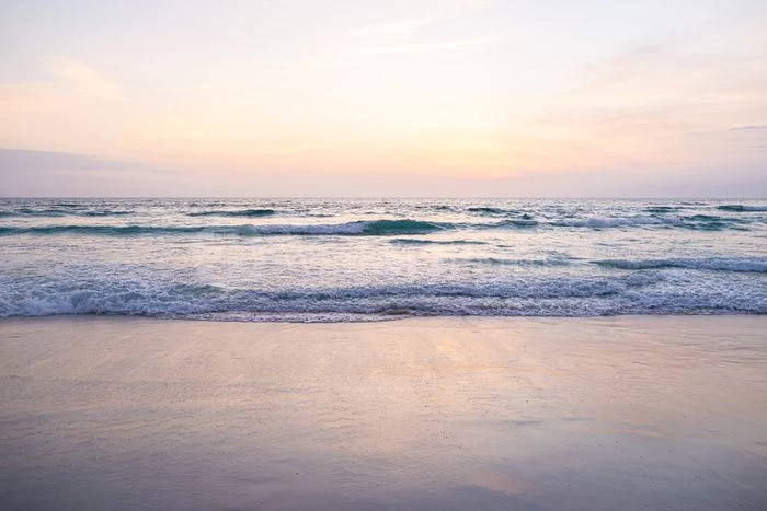 Gone With The Tide 1 Gone With The Tide