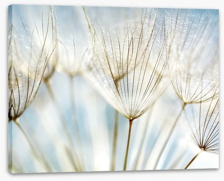 Make A Wish 2 Make A Wish - Image 2