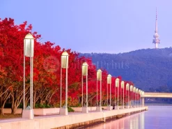 Lanterns By The Lake