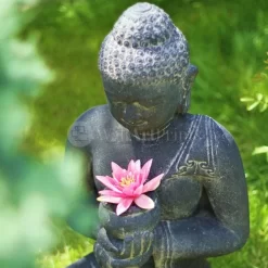 Pink Lily Buddha