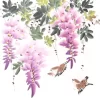 Little Wisteria Birds