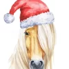 Filly Christmas