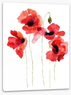 Poppies Stripped Bare 4 Poppies Stripped Bare -Art Mural Shop 41511336 stretchedcanvas