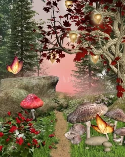 The Enchanted Forest