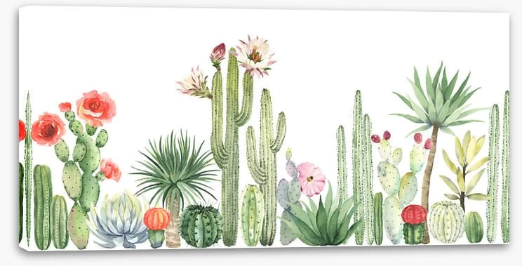 The Cactus Crowd 2 The Cactus Crowd - Image 2