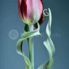 Tulip Twist