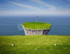 Hole In One