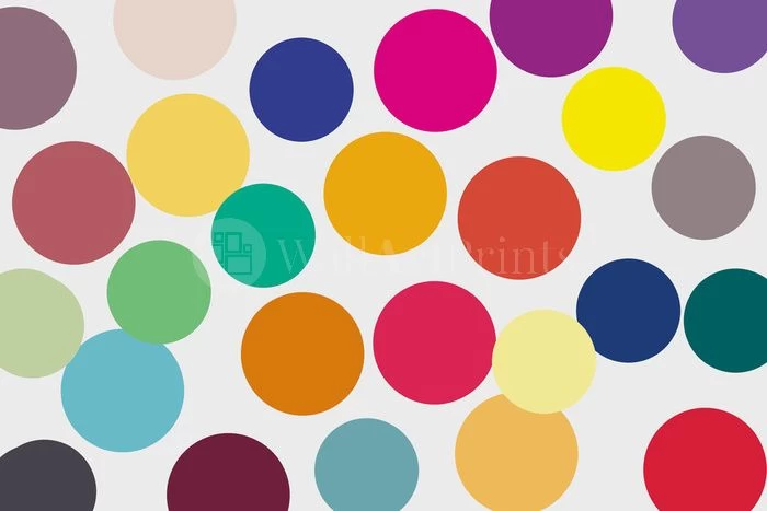 The Odd Spot 1 The Odd Spot