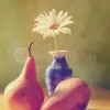 Daisy Pears