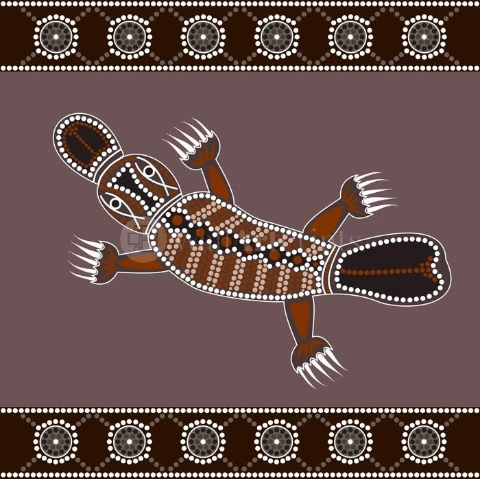 Platypus In The Creek 1 Platypus In The Creek