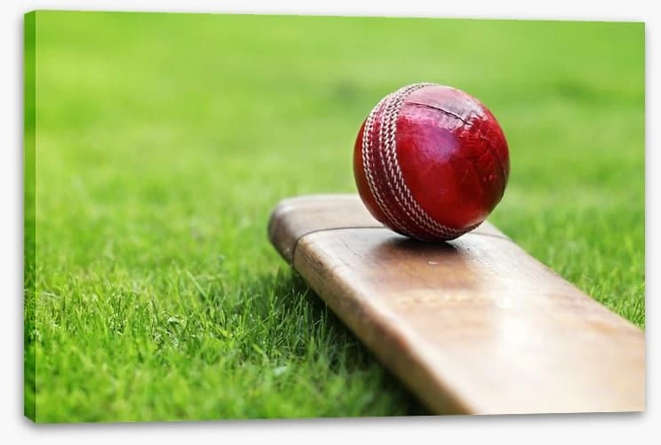 Bat And Ball 2 Bat And Ball - Image 2