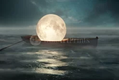The Moon Boat