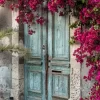 Old Wooden Door With Bougainvillea