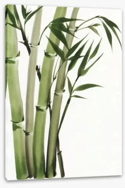 Elegant Bamboo -Art Mural Shop 46031571 stretchedcanvas