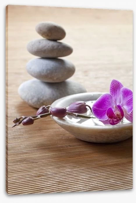 Pampering Orchid 2 Pampering Orchid - Image 2