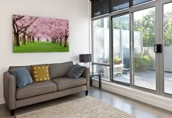 Cherry Blossom Tunnel -Art Mural Shop 49588755 add image