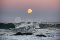 Wild Ocean Supermoon