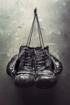 Hanging Up The Gloves