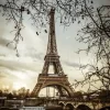 Eiffel Tower From The Seine, France