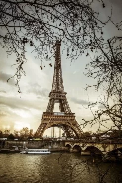 Eiffel Tower From The Seine, France