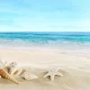 Seashell Seascape