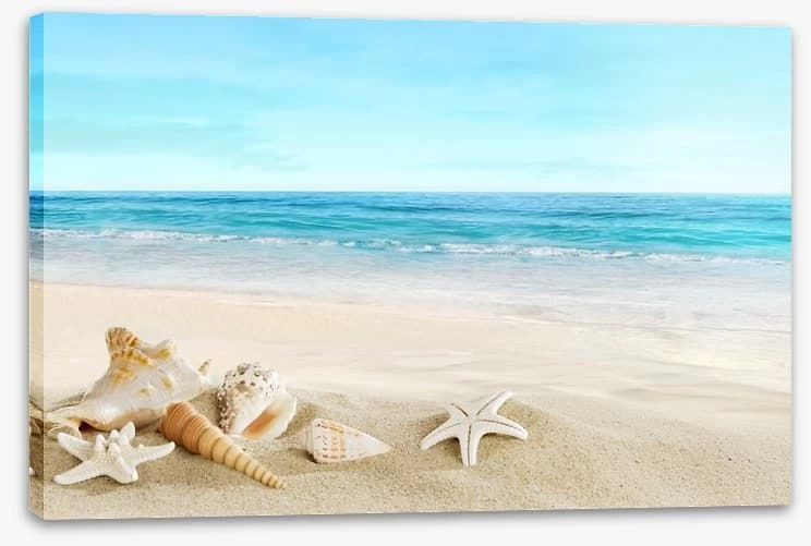 Seashell Seascape 2 Seashell Seascape - Image 2