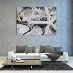 Starfish And Coral 7 Starfish And Coral -Art Mural Shop 51750575 add image02