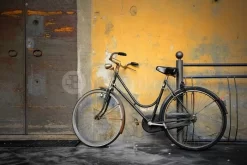 The Old Italian Bicycle
