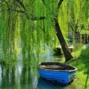 Boat Under The Willow