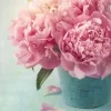 Vintage Pink Peony