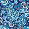 Paisley Sky