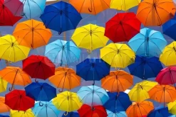 The Festival Of Umbrellas