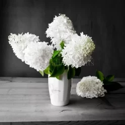 White Hydrangea Vase